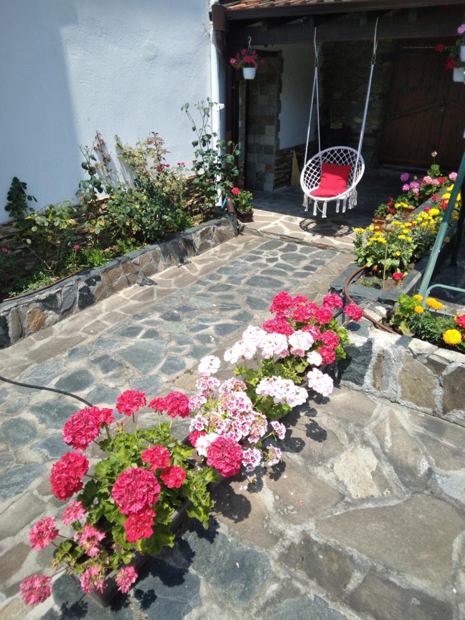 Guest House Popov Marchevo エクステリア 写真
